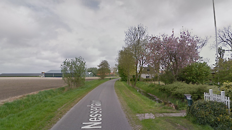 De Nesserlaan in Pingjum (FR).