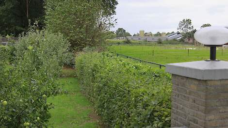 Boeren  zijn volgens FPG te weinig betrokken bij de totstandkoming van een rapport over ruimtelijke ontwikkeling van Rli.