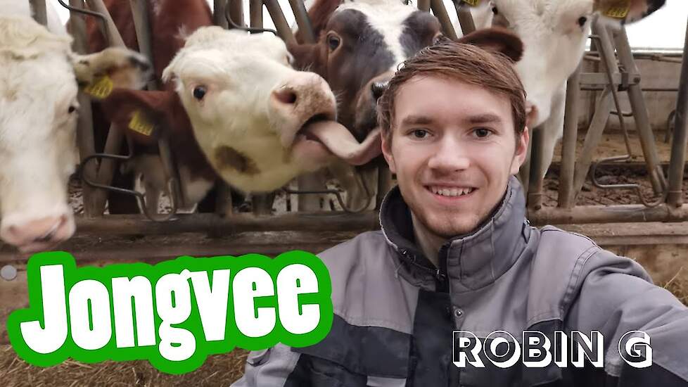In de jongveestal is genoeg te doen! - Robin G's vlog #2- Vloggende jonge boeren
