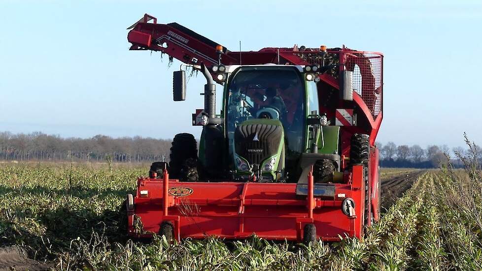 Cichorei rooien met Grimme Rootster 604. Landb. Buijs Emmer-Compascuum.