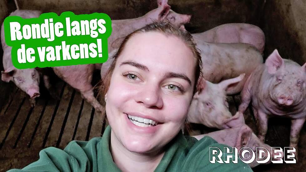 Rondje langs de varkens! - Rhodee's vlog #11 - Vloggende jonge boeren