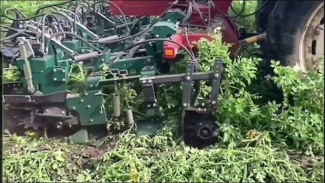 Video: Mechanisatiebedrijf Wasse uit Hijken haalt Deense Crown Crusher naar Nederland