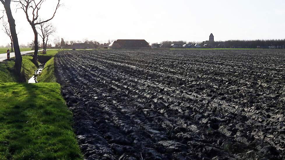 Afbeelding van Groningse geploegde grond ter illustratie.