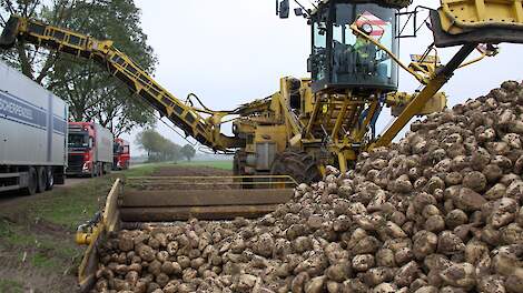 Uit onderzoek van Cosun blijkt dat suikerbieten die geladen zijn met een bietenmuis zo'n 30 procent minder tarra hebben.