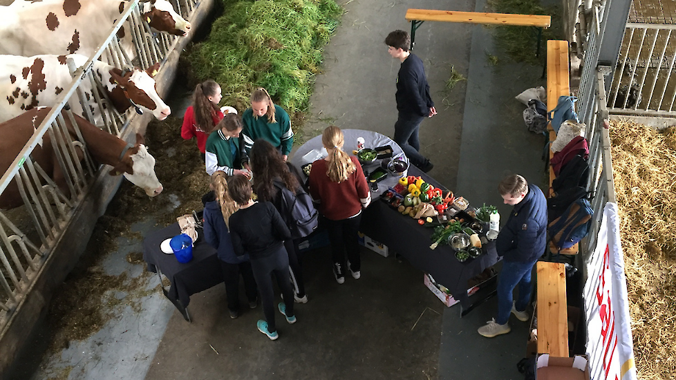 Leerlingen tijdens de Food Challenge op een melkveebedrijf.