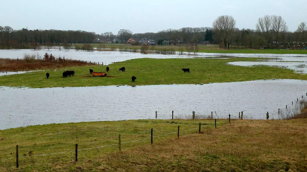 Het waterschap maande (vlees) veehouders hun vee niet aan hun lot over te laten maar maatregelen te nemen.