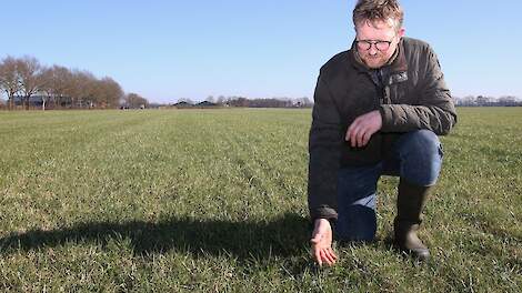 Nagel is gebiedscontactpersoon bij wie collega-boeren die meedoen aan Duurzame Melkveehouderij Drenthe terecht kunnen om te sparren.