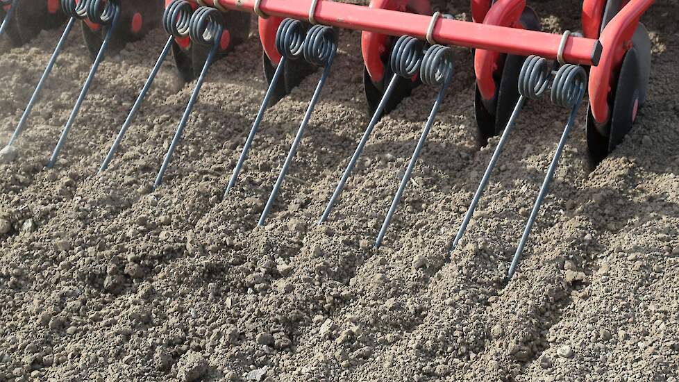 De grond was bovenin aardig droog. Op zaaidiepte ging het goed. „Het zaad ligt precies in goede, vochtige grond." Meijer hoopt inmiddels wel dat de voor volgende week voorspelde regen ook daadwerkelijk gaat vallen.