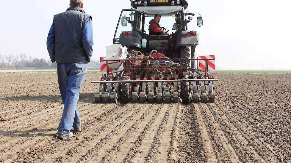 Op het stuk land van 20 hectare worden vijftig verschillende soorten uien ingezaaid.