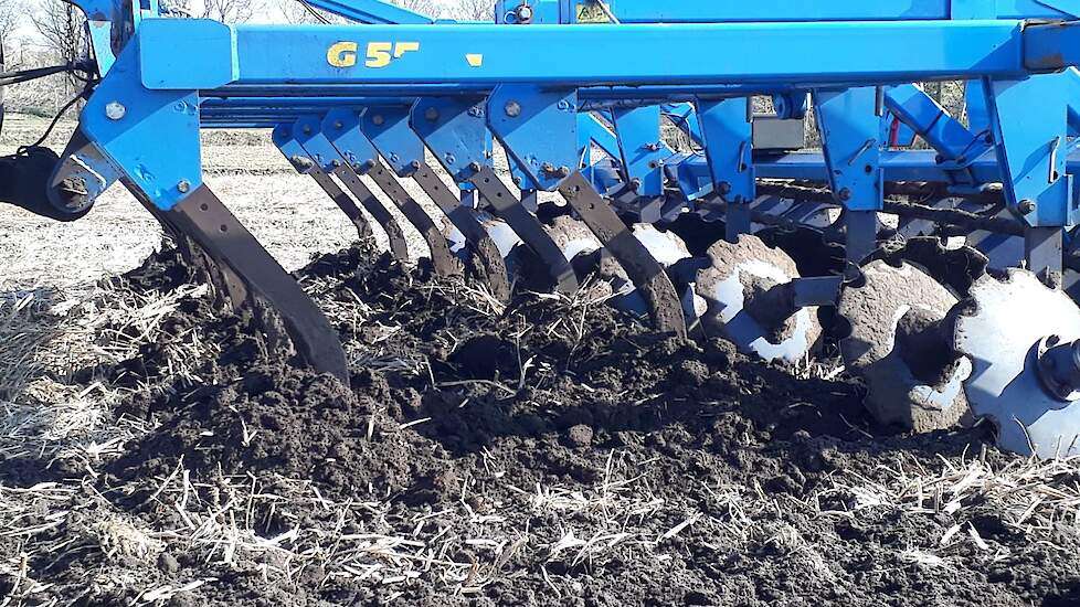 Na het aandrukken werd de tagetes onder gewerkt met een cultivator.