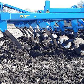 Na het aandrukken werd de tagetes onder gewerkt met een cultivator.