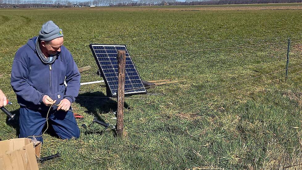 Veehouder Piet de Boer (lid van de vogelwacht) bezig met het vossenraster.