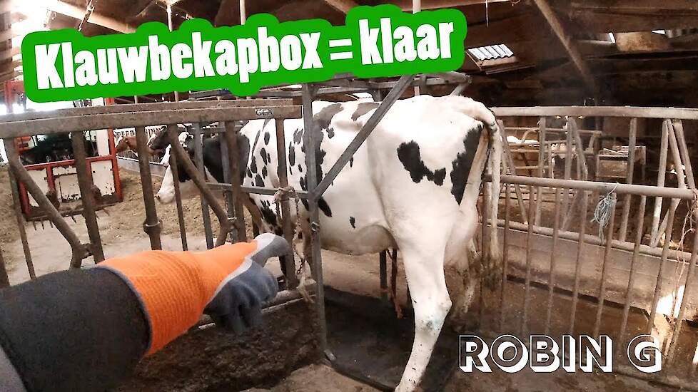 De klauwbekapbox is klaar! - Robin Groen's vlog #5 - Vloggende jonge boeren