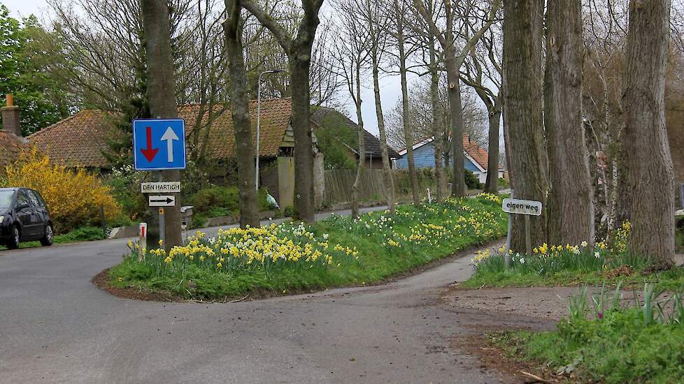 Het weggetje omlaag naar het bedrijf.