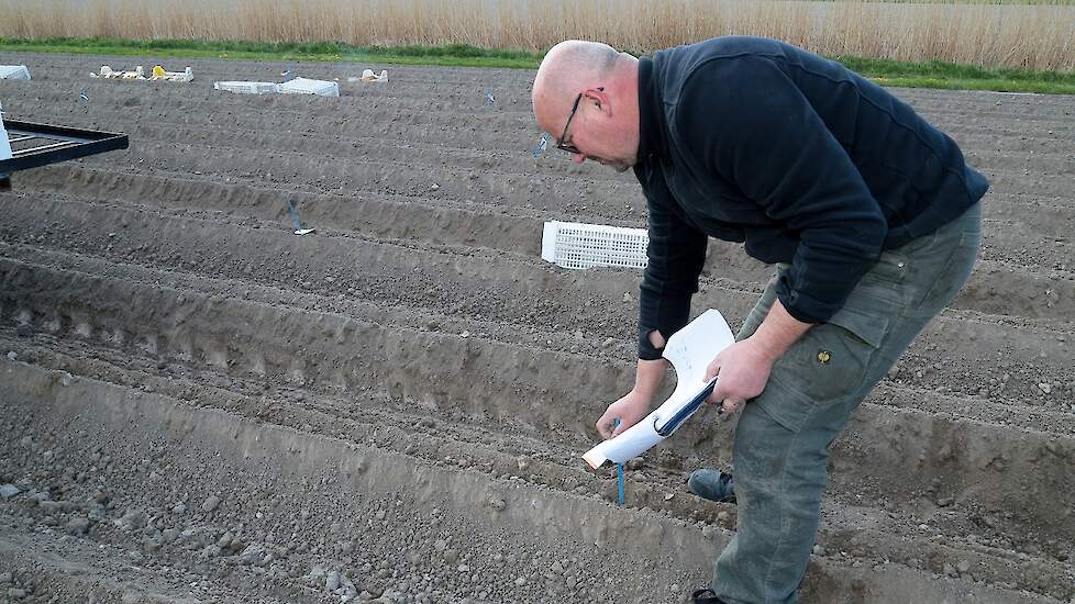 Wilon Scholtens doet de coördinatie en registratie. Bij elke nieuwe stam plaatst hij een stokje.