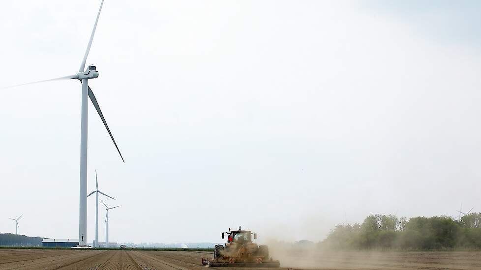 Op dit perceel wordt dit seizoen peterselie geteeld.