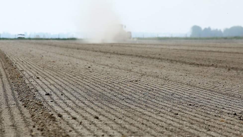 De droogte vraagt extra aandacht voor de percelen. „Dat merken we ook met het aanleggen van de ruggen. Die percelen moeten we eerst nat maken om fijne ruggen te krijgen.”