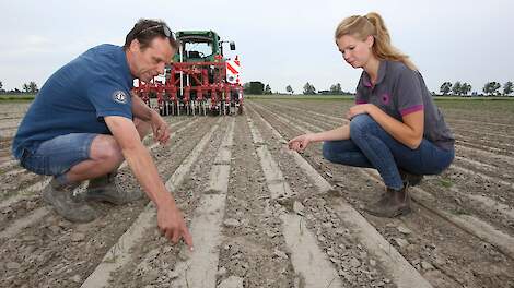 Akkerbouwer Theo Amsing bekijkt samen met Lynette Verweel de plantjes van de uien. Door het wisselende weer van de afgelopen tijd hebben de percelen met uien schade opgelopen.