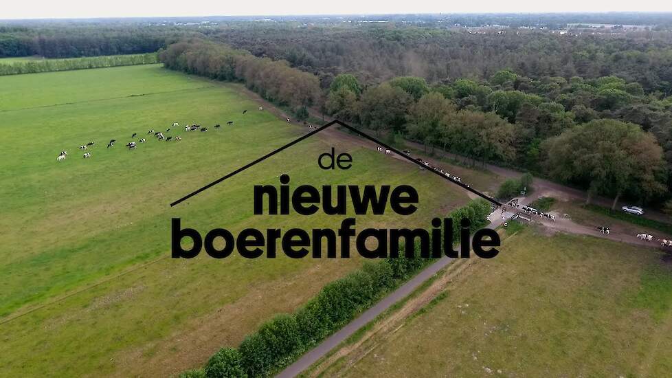 De Boerenversneller: Siebe's transitie