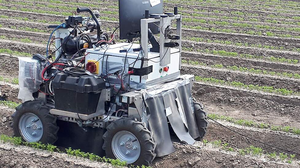 Trabotyx is een mechanische onkruidbestrijder. De robot is zelfrijdend, werkt in de rij en bewerkt, nu nog als prototype, 360 meter per uur.