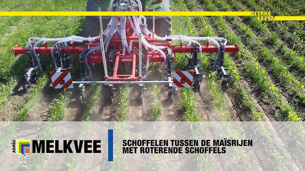 Schoffelen tussen de maïsrijen met roterende schoffels