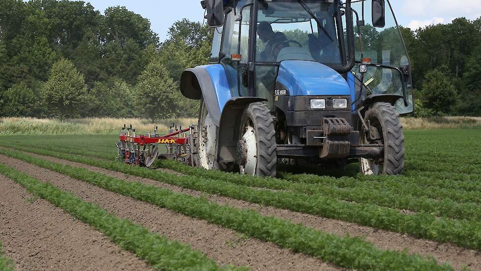 Bio Boerma beslaat 370 hectare, waarvan 78 hectare peen. Het bouwplan bestaat daarnaast uit onder meer haver, zomertarwe, spinazie, suikerbonen, uien en erwten.