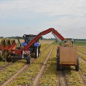 Lodders teelt het gewas in eigen beheer. De plant- en rooimachine worden inclusief bemensing geleverd door Gourmet.