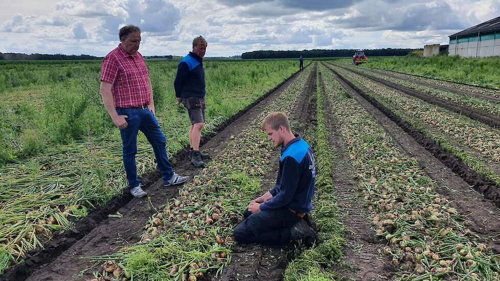 Ruud Booijink (zittend) bespreekt met zijn vader Gerard (midden) en Jan Harm Oosterhuis van WPA-Robertus (rood overhemd) de opbrengst.