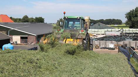 Fotoserie: Tot nu toe prima grasjaar bij broers De Boer in Tjerkgaast | Veld-post.nl - Landbouwnieuw