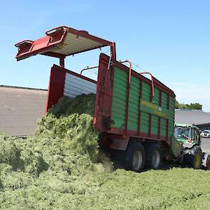 45 messen in de silagewagen zorgen voor een homogeen goed vast te rijden product, dat daardoor ondanks het hoge drogestofgehalte weinig broeigevoelig is.