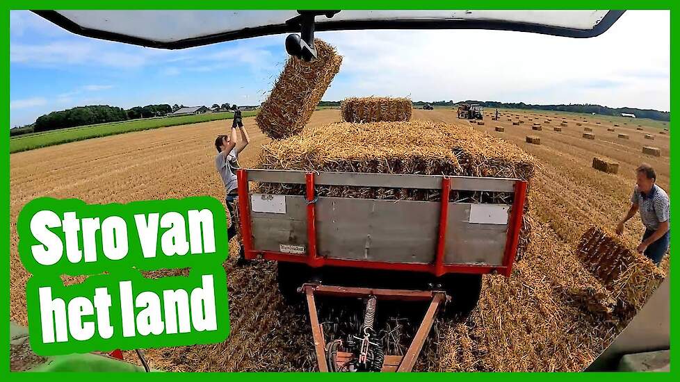 Kleine strobaaltjes...! - Robin's vlog #9 - Vloggende jonge boeren