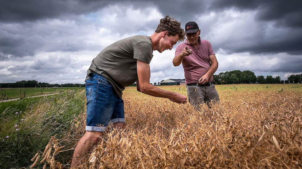 Joost van ’t Klooster met buurman Cato Gaaikema: „Ik bof met al die akkerbouwers om ons heen”, aldus Van 't Klooster.