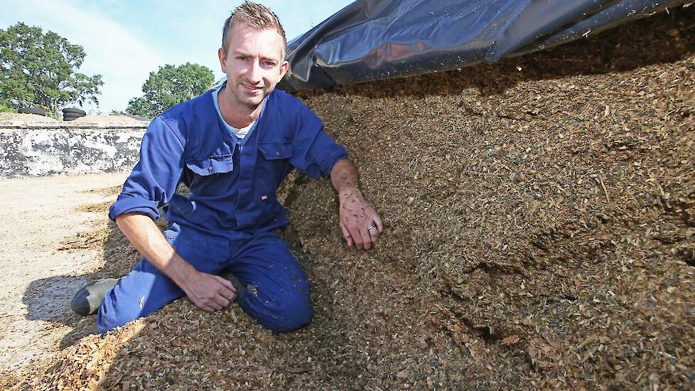 Luuk Maas is goed te spreken over sorghum in combinatie met maïs. Het vormt een smakelijke structuurbron.
