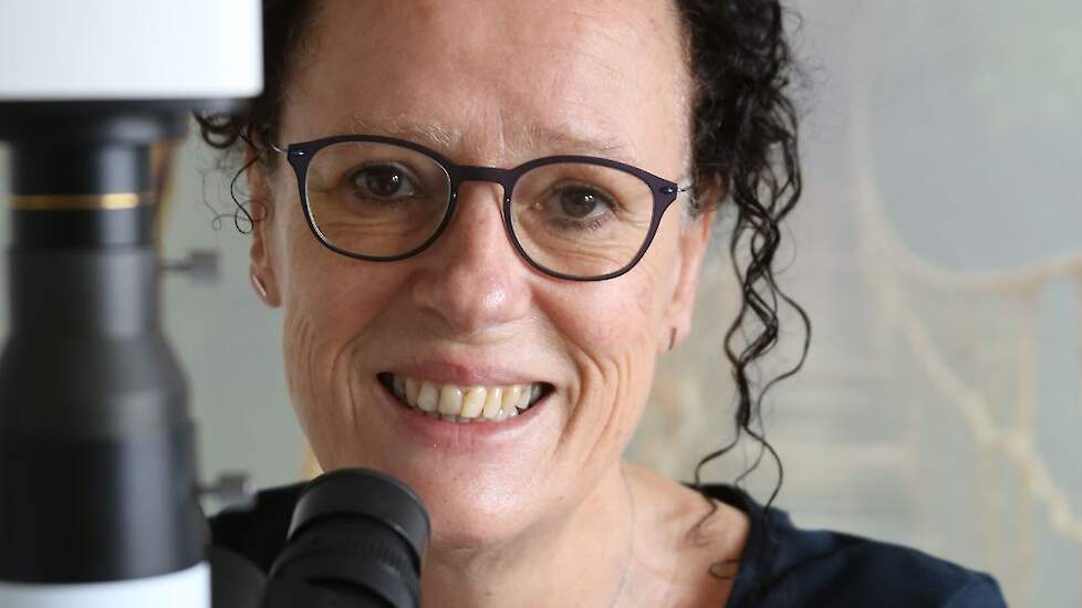 Tanja Dekker gebruikt de microscoop om aan de samenstelling van het bodemleven te zien hoe gezond het systeem is.