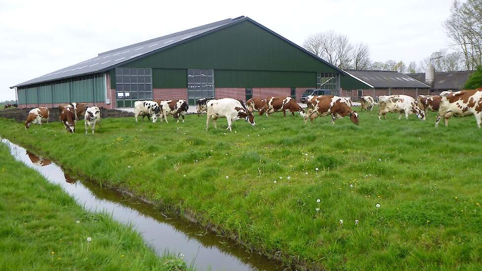 Van Vliet wil met open (beleef)dag in Jirnsum kloof verkleinen