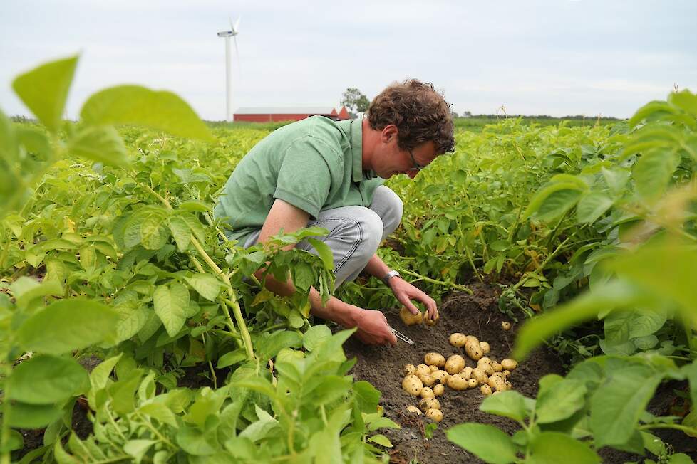 Rick Vermue vindt het heelijk om met de seizoenen te werken. „Het oogsten, sorteren en afleveren van pootaardappelen aan landen als Pakistan, Bangladesh en Israël van de pootaardappelen is altijd weer spannend.”