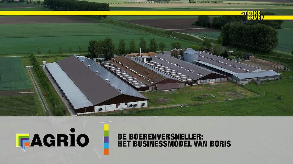 De Boerenversneller: het businessmodel van Boris