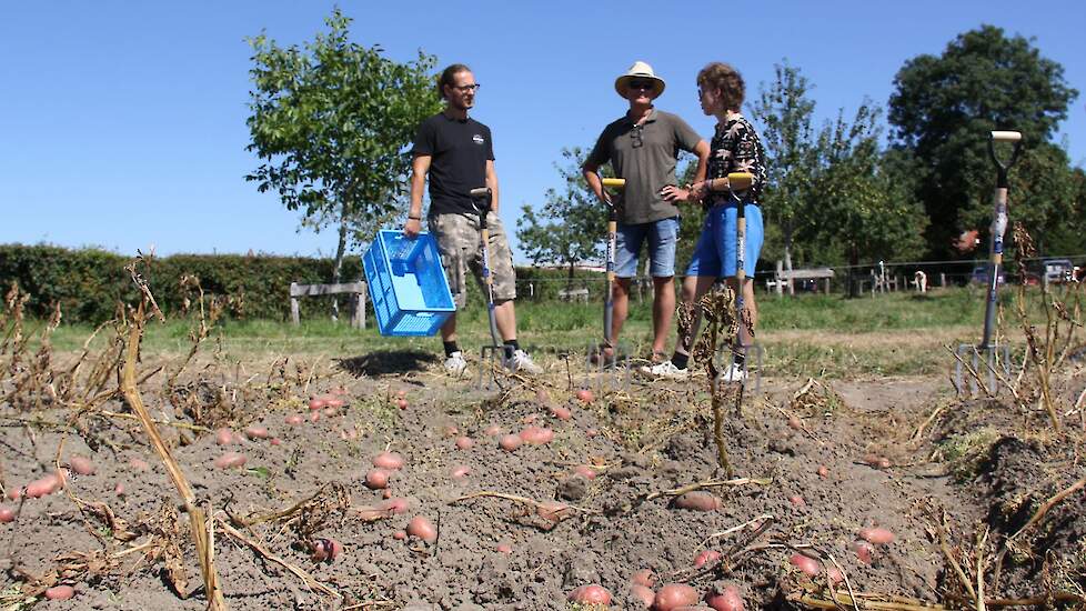 Saskia, afgestudeerd aan de Warmonderhof, wijst klanten de weg op het land. Eén man uit de buurt oogst thuis al jaren zijn eigen aardappels, maar komt nu om een voorraadje te scoren.