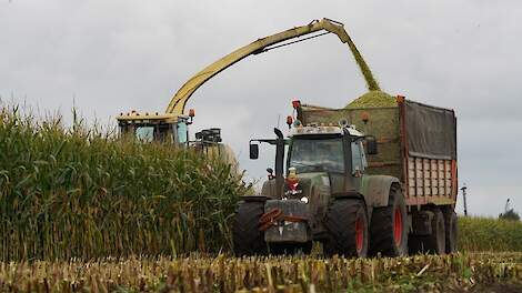 Topmaïsevenement: besparen op kunstmest en anders hakselen | Veld-post.nl - Landbouwnieuws voor Noor