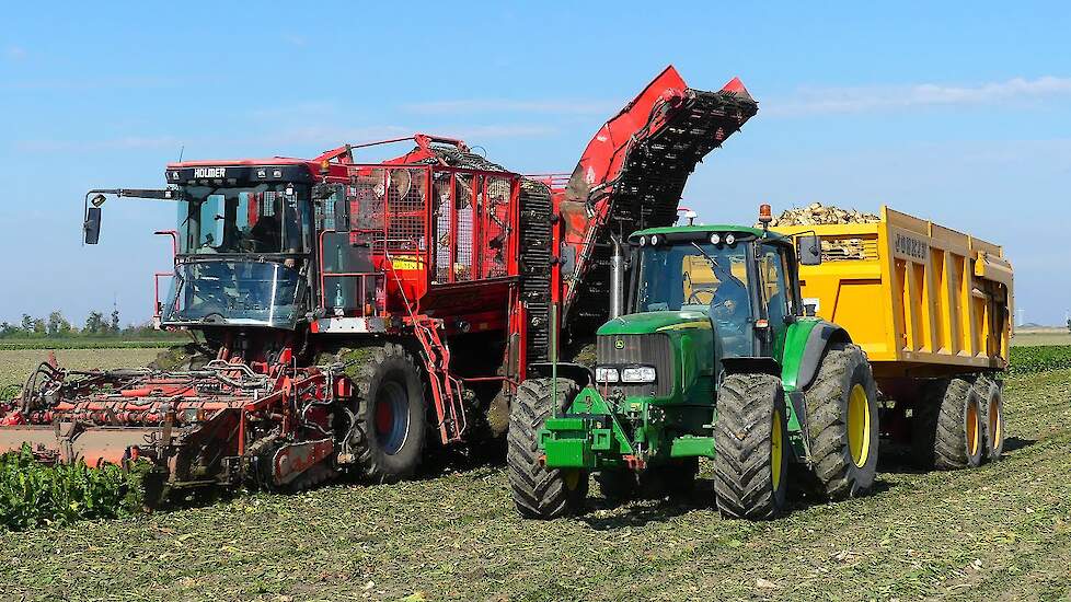 Bietenoogst 2022 in volle gang bij Landb. Westerhof in Woldendorp.