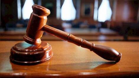 Vleesveehouder mag tegen zin van natuurclub door met bouw koeienstal | Veld-post.nl - Landbouwnieuws