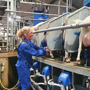 Tijdens het melken is één persoon continu aan het onderhangen. Daarnaast loopt meestal Atte tijdens het melken ook op het bedrijf rond. Hij zorgt ervoor dat de geiten omgejaagd worden en doet tussendoor andere klusjes. In de lammertijd melkt Atte meer zod