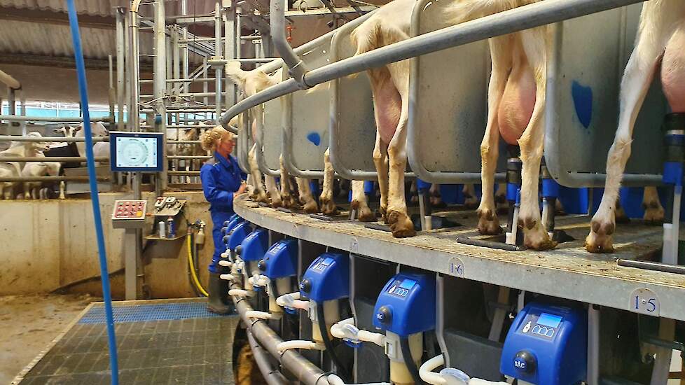 De beweegbare vloer werd ook al in de oude melkstal gebruikt en kon worden hergebruikt in de nieuwe melkstal.