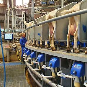 De beweegbare vloer werd ook al in de oude melkstal gebruikt en kon worden hergebruikt in de nieuwe melkstal.