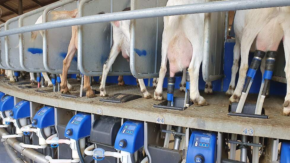 Als de geit uit is gaan de tepelbekers automatisch terug in de stand en worden ze afgedekt zodat ze minder vies worden.