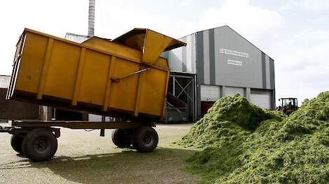 Aanvoer van gras bij de drogerij in Oosterwolde (FR).