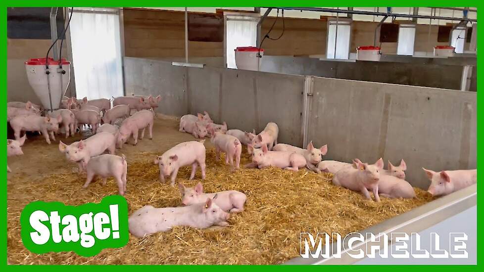 Stage! - Michelle's vlog #11 - Vloggende jonge boeren