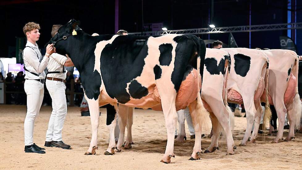 De grote, lange Het Uilenreef Charity 16 van Koevar Hendriks uit Koufurderrige volgde op de tweede plaats. Ze beschikte over een hele beste uier die de uierprijs kreeg in deze rubriek.