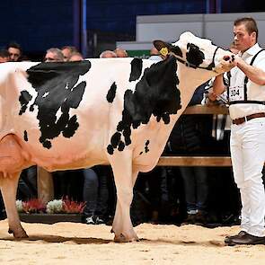 Maaike 294 op de derde plaats was wat kleiner dan haar voorgangers. De Douglas-dochter van Nieuw-Vredebest uit Vuren is een prachtige, evenredig gebouwde koe met mooie overgangen, een middenhand met diepe, gewelfde ribben  en een sterke, brede, mooi beade