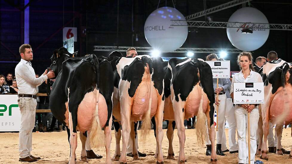 De groep van Steegink, Okkenbroek legde Van Beek het vuur na aan de schenen met de seniorenreservekampioene en de algemeen kampioene in de gelederen.